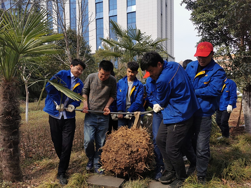 德赢·(VWIN)官方网站-AC米兰官方相助同伴